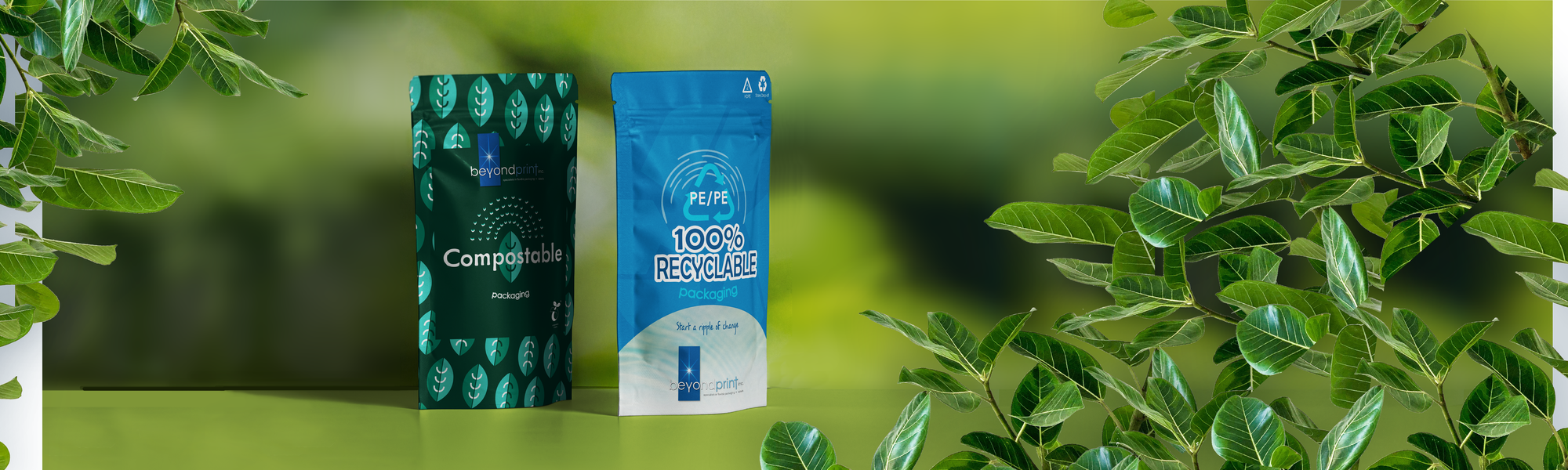 Custom Packaging & Labeling Made Easy