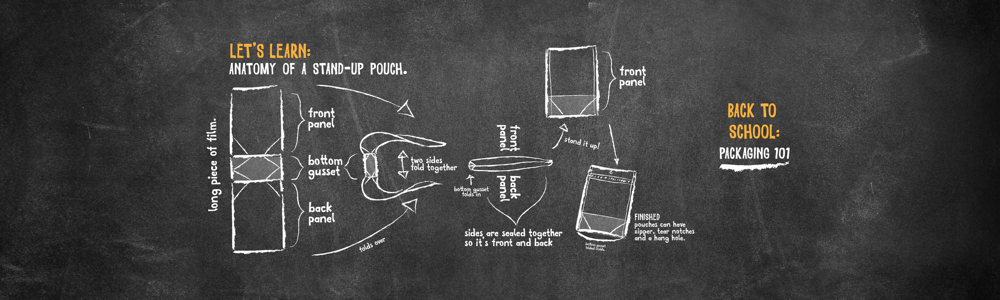 Back to School Anatomy 